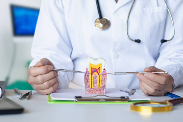 Best Weekend Emergency Dentist in Northville, MI